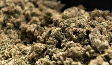 Lawsuit seeks to derail NY's new marijuana tracking system