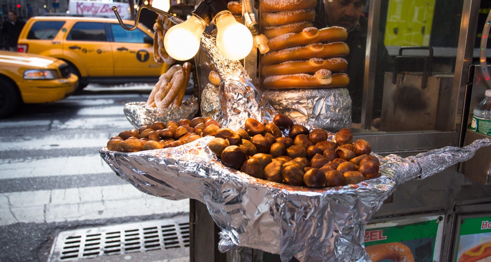 Dear New York, the American chestnut is back, and it’s on your block