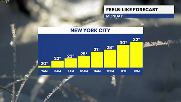 Bright, brisk and windy in The Bronx