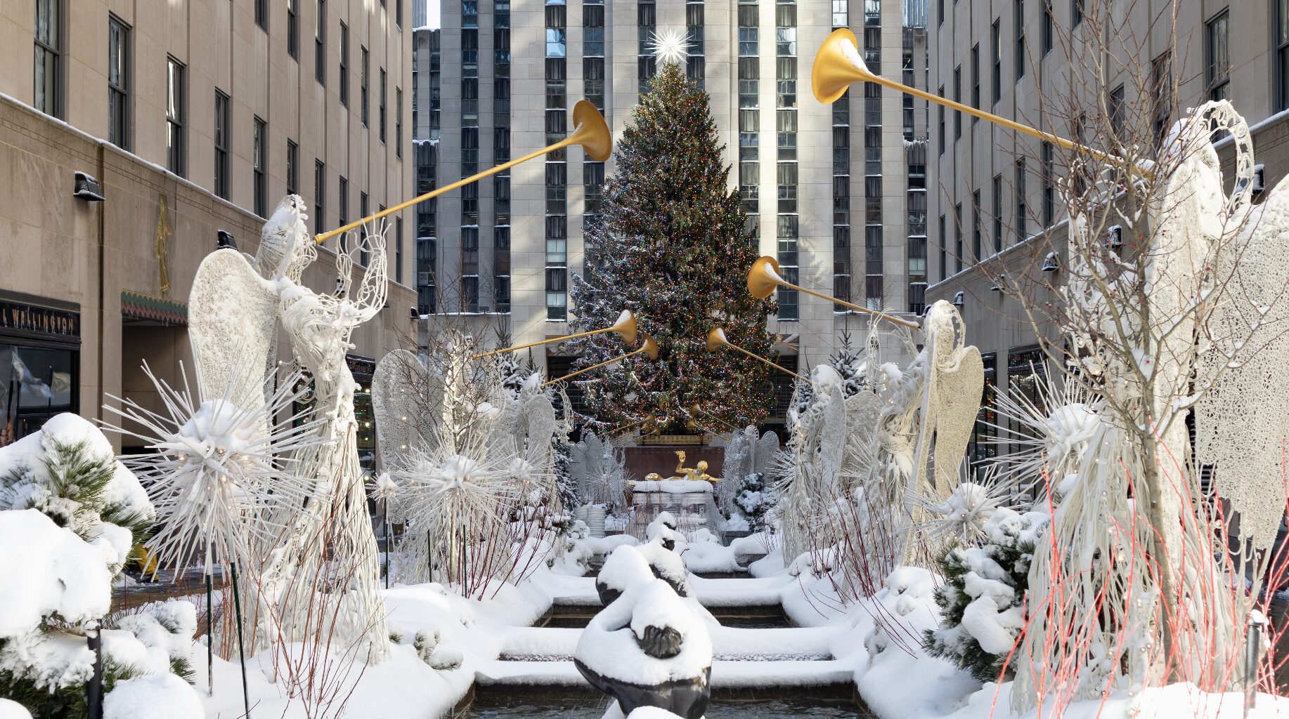 Will New York City Have a White Christmas This Year?