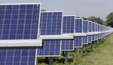 (AP Photo/Nati Harnik)