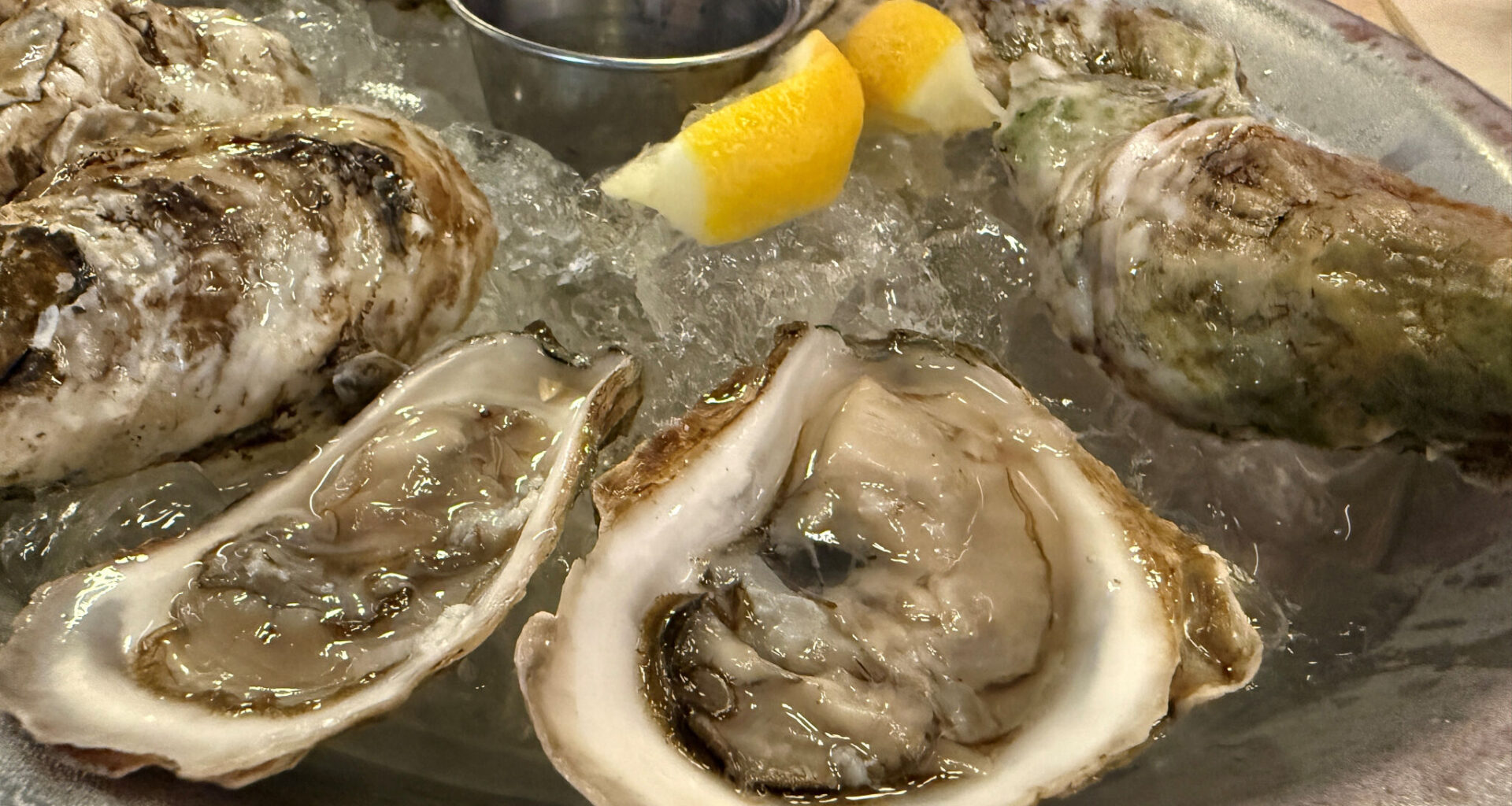 Salmonella outbreak blamed on raw oysters hits New York, other states
