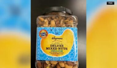 Wegmans recalls Deluxe Unsalted Mixed Nuts in NY, NJ and CT due to possible salmonella contamination