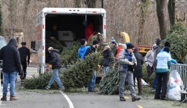 Give Your Christmas Tree a ‘Fir-Well’ at Brooklyn Mulchfest