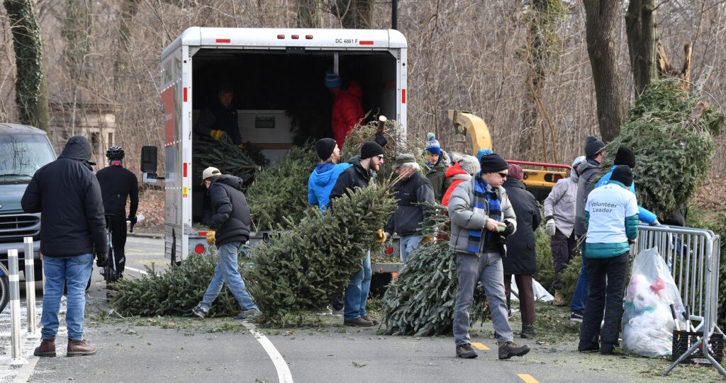 Give Your Christmas Tree a ‘Fir-Well’ at Brooklyn Mulchfest