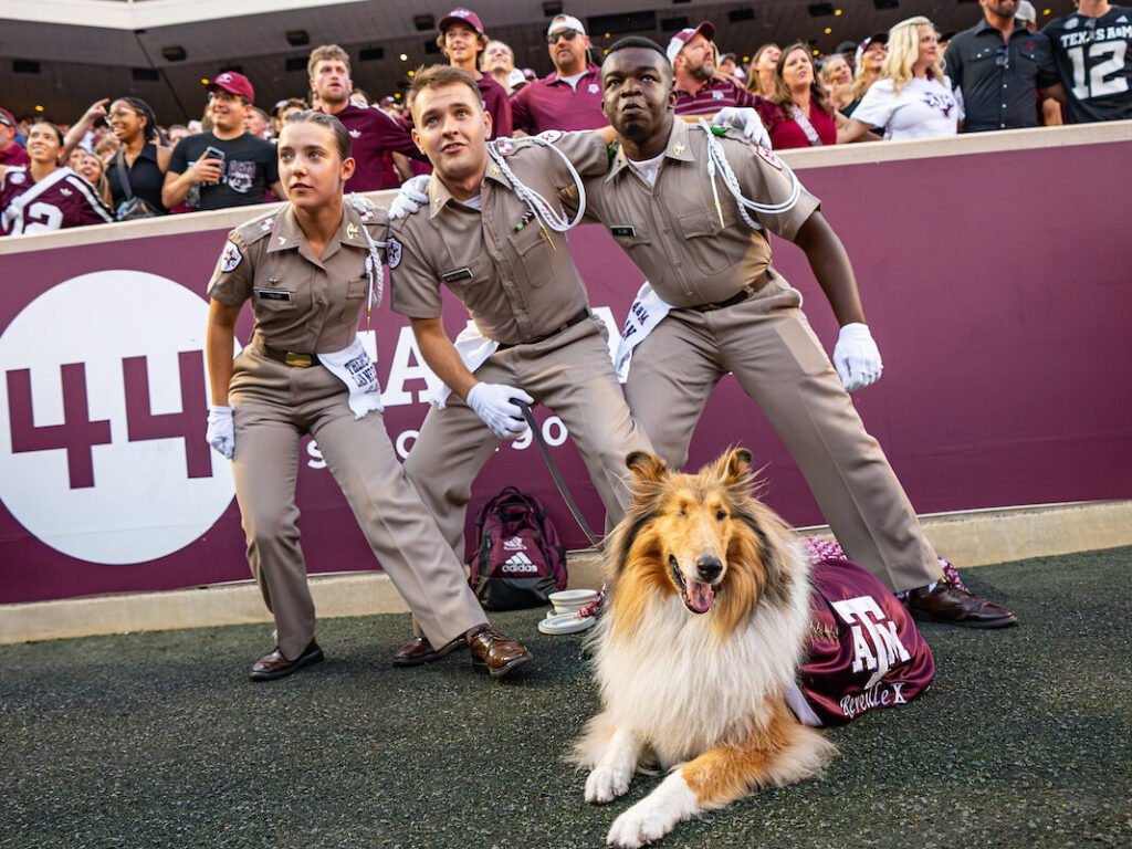 Three people sway with their arms around each other while a dog sits in front of them. 