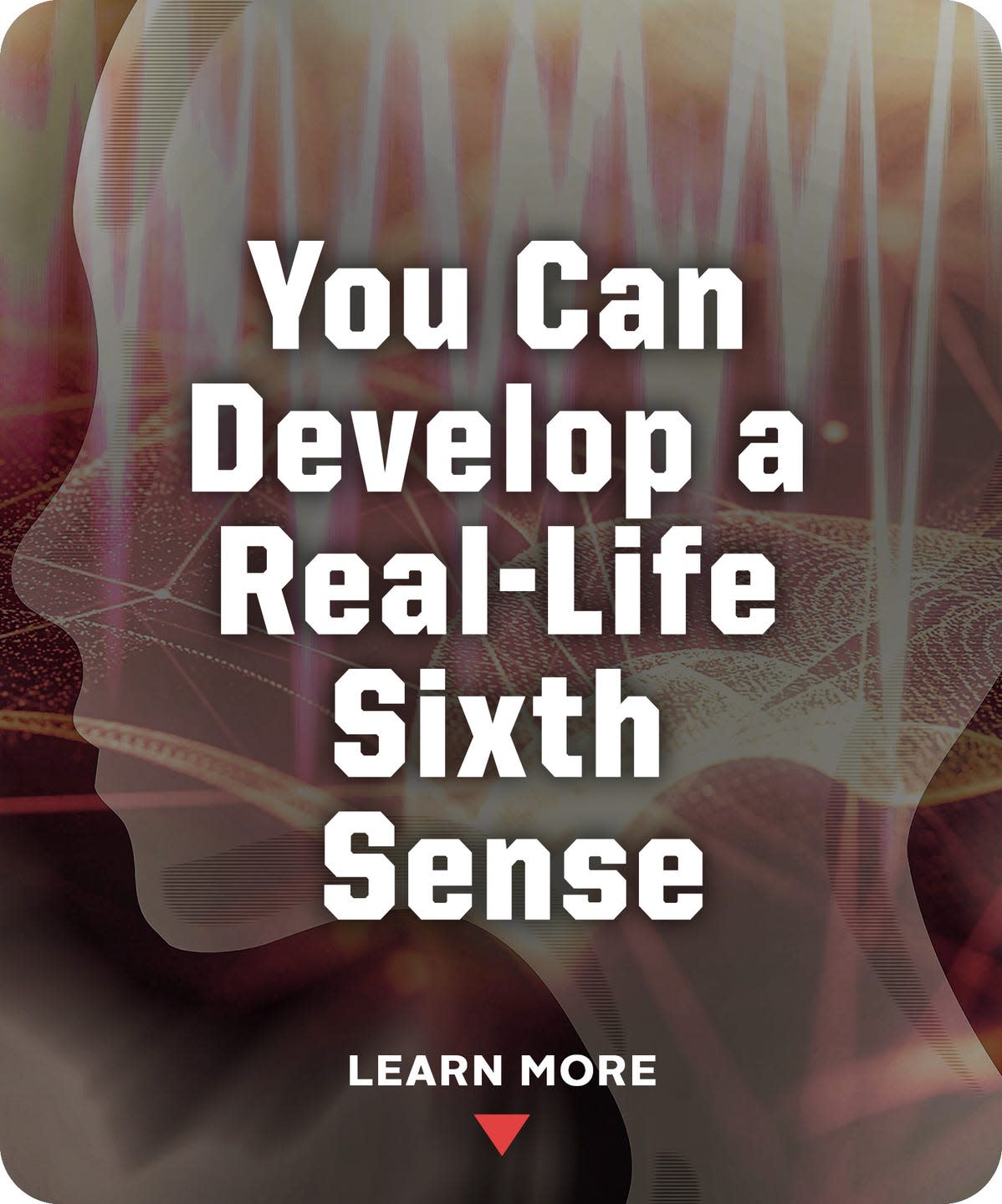 Photo credit: Hearst Owned