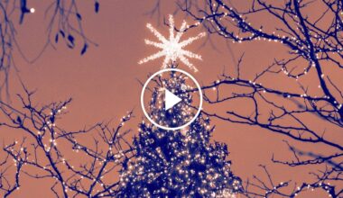 Opinion | ‘A Hard Time We Had of It’