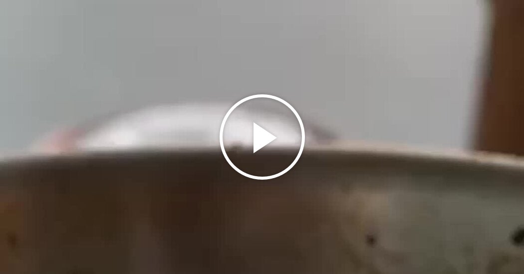 Classic Shrimp Scampi - The New York Times