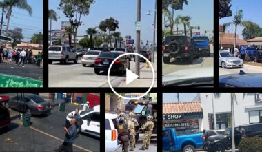 How ‘Turn and Burn’ Immigration Operations Unleash Chaos — and Sweep up U.S. Citizens