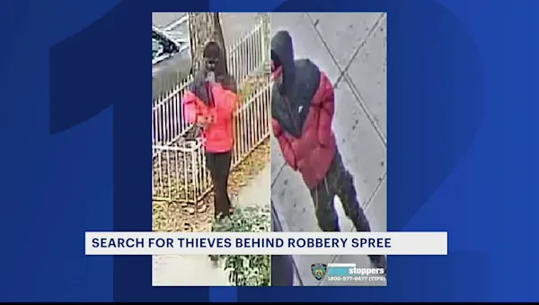 Men wanted for jewelry robbery pattern in the Bronx