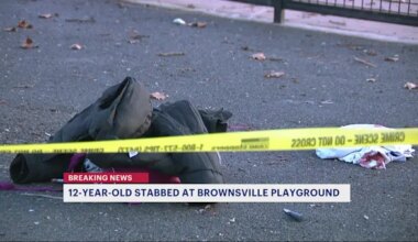 Two children in police custody after 12-year-old boy stabbed at Brownsville playground