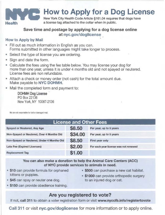 Celebrate your Labor Day weekend with an adoptable pet. Sep 4-5