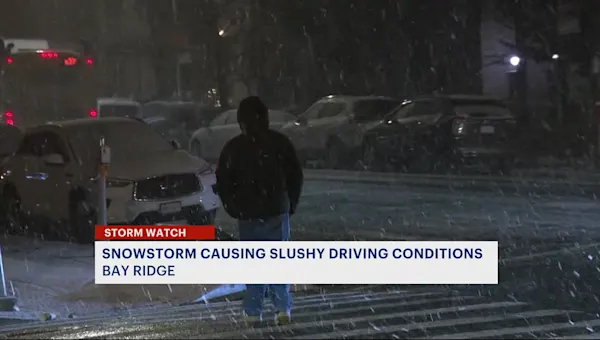 Snow coats roadways in Brooklyn