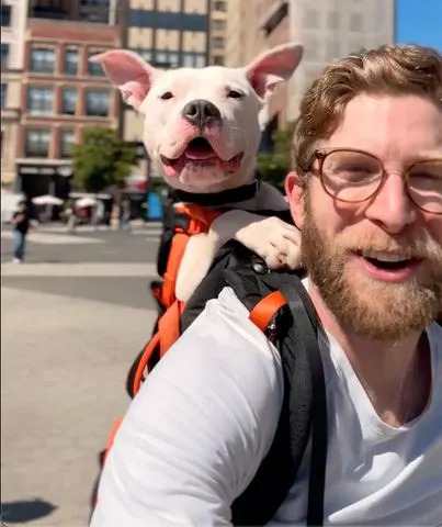 courtesy bryan reisberg Bryan Reisberg with a shelter dog