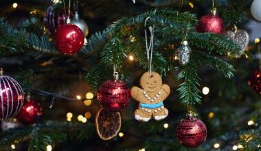 New York Ranks as Second "Grinchiest" State for Christmas