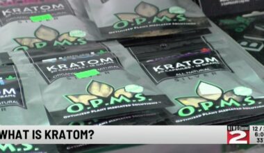 New York State Regulates Popular Drug Kratom | News