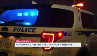 Man shot in head at Crown Heights apartment building