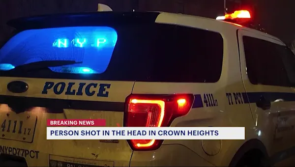 Man shot in head at Crown Heights apartment building