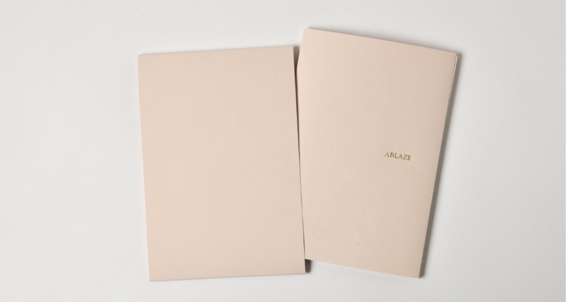 Ewa Monika Zebrowski and Anne Michaels’s ABLAZE