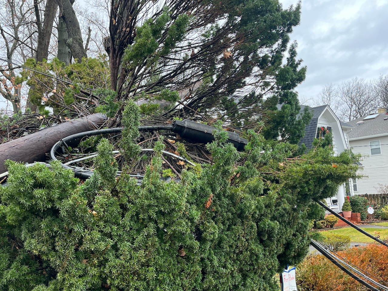 Wires down in West Brighton