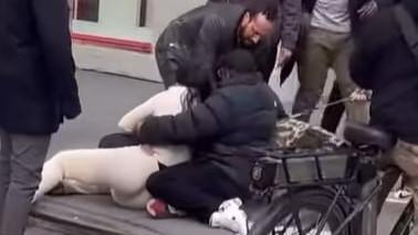 Disturbing footage shows pit bull attacking a toddler and refusing to let go in Union Square, Manhattan