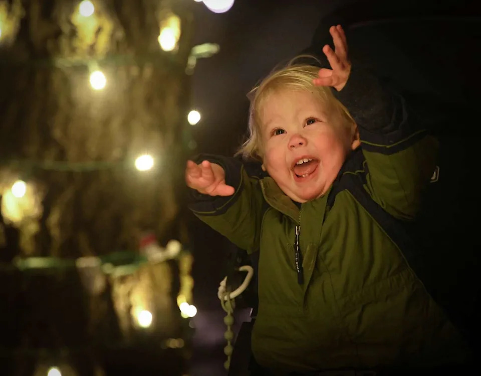 Jake Schweikert, 14 months old, of Feura Bush, showed his excitement as he looked at lights wrapped around a tree trunk before the main show. (Lori Van Buren/Times Union)