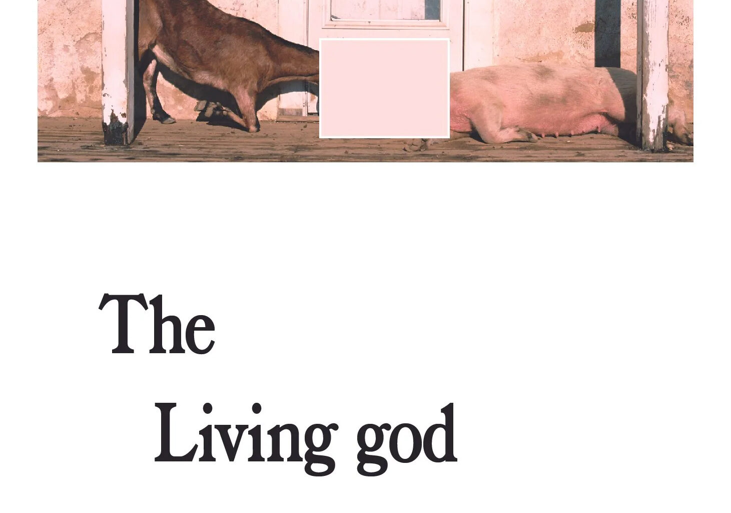 SAM HEAPS with Jorja Rae Willis