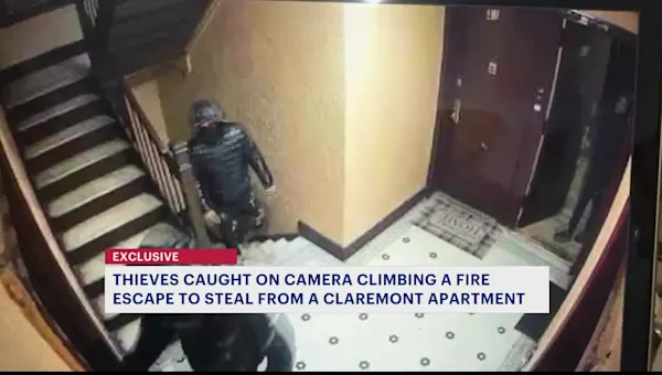 Bronx woman says thieves caught on camera climbing fire escape to steal from Claremont apartment