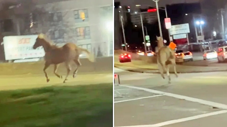  <span class="wp-caption-text">papd_lba/Instagram</span>