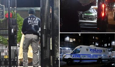 Senior citizen beaten to death in NYC housing complex