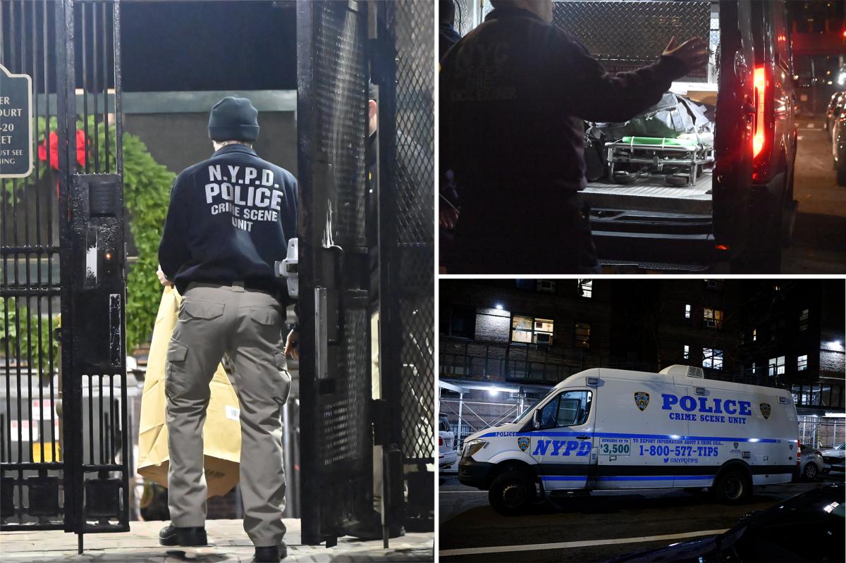 Senior citizen beaten to death in NYC housing complex