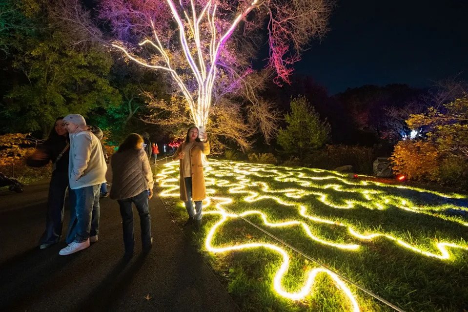 Brooklyn Botanic Garden turns its winding nighttime trail into a neon-soaked fever dream of glowing sculptures, trippy tree projections and mood-boosting soundscapes. Gabriella Bass