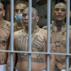Prisoners with MS-13 gang tattoos looks out of his cell as Homeland Security Secretary Kristi Noem tours the Terrorism Confinement Center in Tecoluca, El Salvador, Wednesday, March 26, 2025. (AP Photo/Alex Brandon)