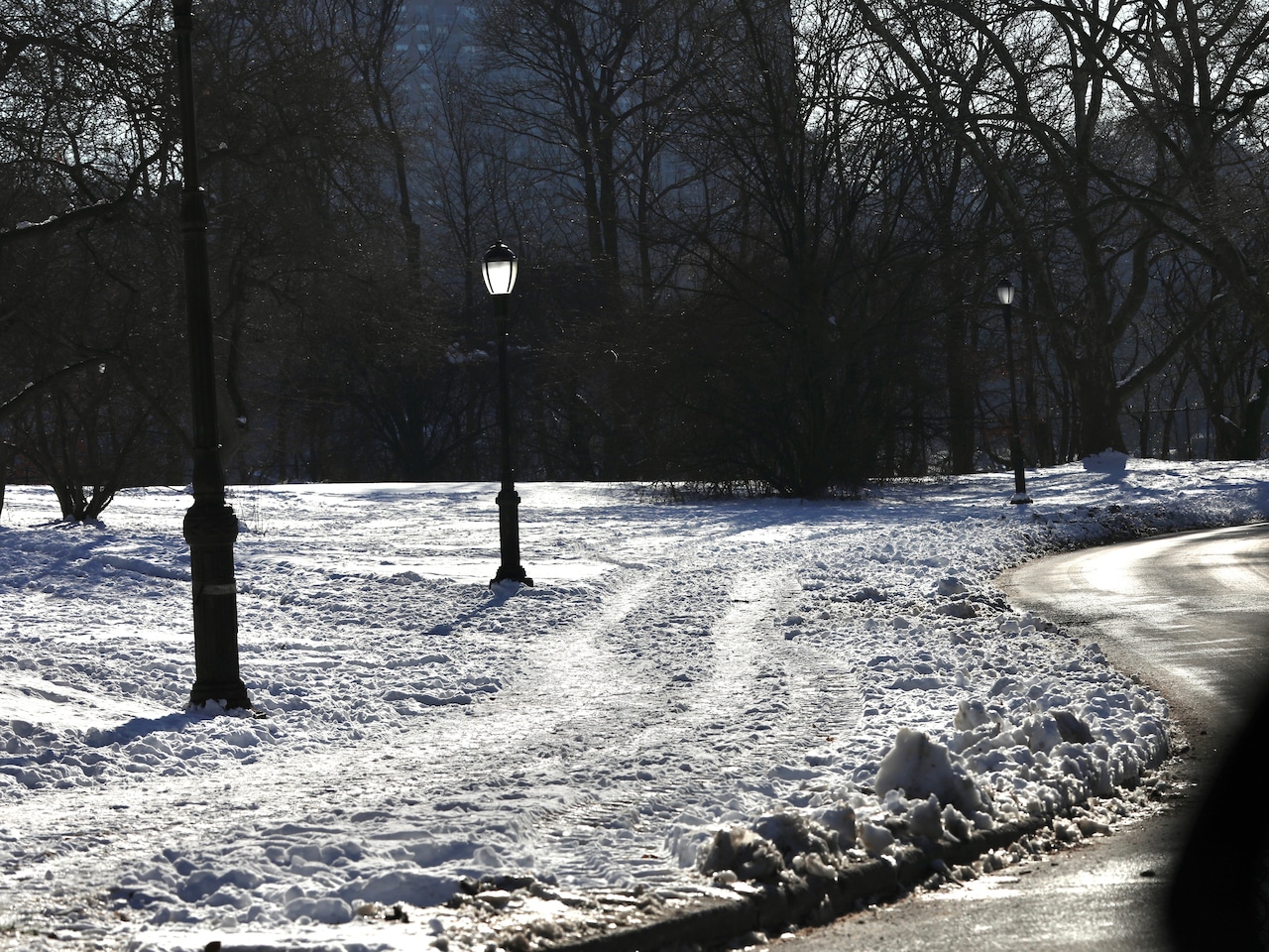 Snow and ice at parks on Staten Island