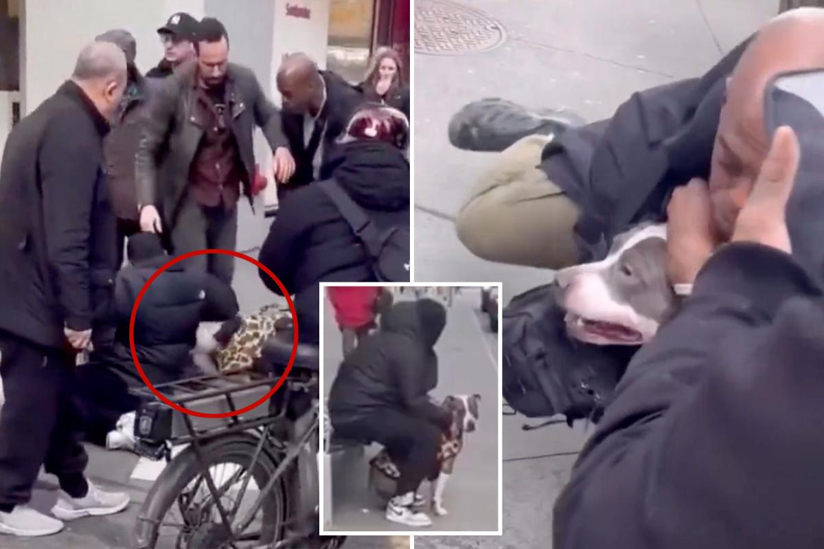 Pit bull attacks baby on NYC street and refuses to let go