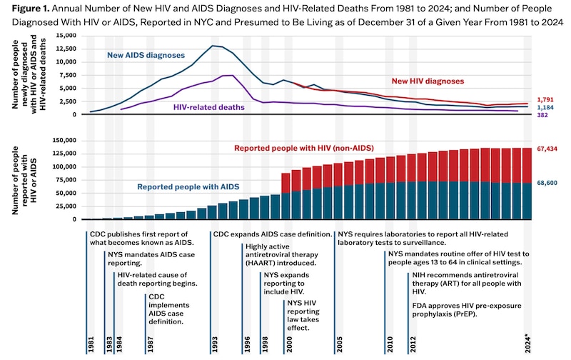 A graphic shows the history of the HIV epidemic in New York.