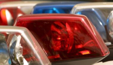 Woman dies following crash near Frankfort – Shaw Local