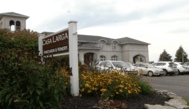 The NYS Ice Wine & Culinary Festival returns next year