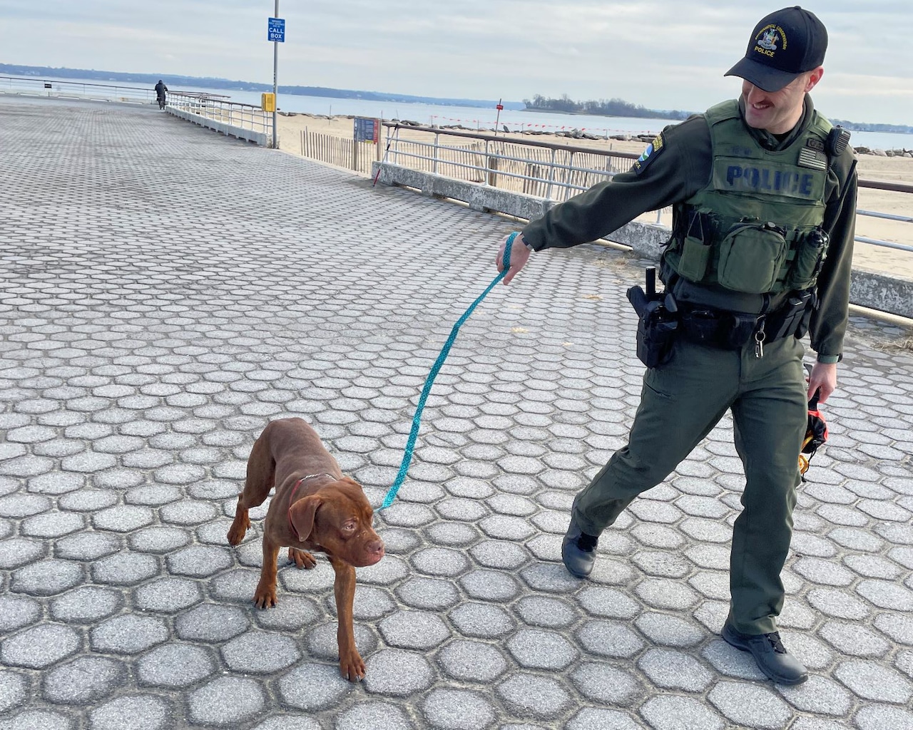 NYS DEC police report for Nov.-Dec. 2025