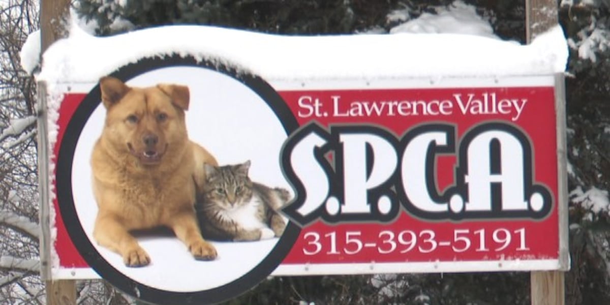 Animal shelter near Ogdensburg works to change high kill rate