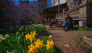 Adams hopes for agreement with new proposal for Elizabeth Street Garden