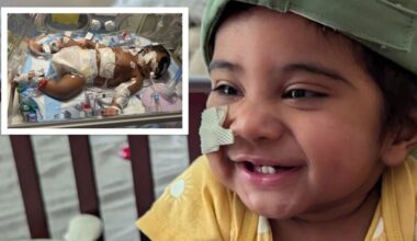 Only hope for infant with rare new genetic disease was risky tranplant at NYC hospital