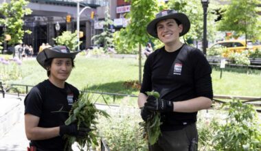 Lower Manhattan BID Downtown Alliance marks 30 years – amNewYork