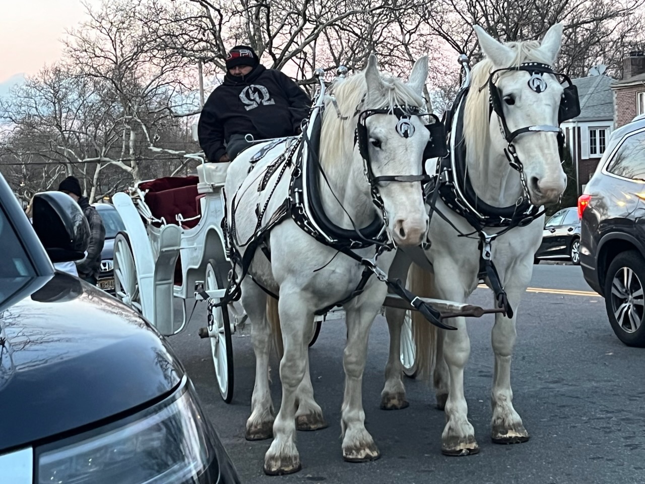 Local businesses offered festive treats along Forest Avenue as Santa arrived in a horse-drawn carriage for the community celebration.