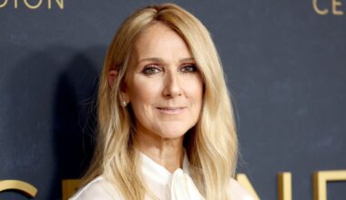 Céline Dion’s Grinch transformation is the ultimate holiday gift – NBC New York