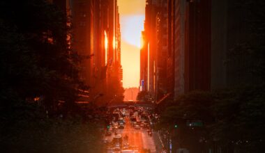 Life expectancy in New York City rebounds to record high – NBC New York