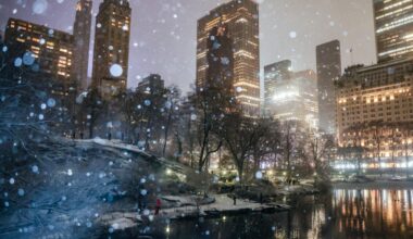 A view of Central Park as snow falls on Jan.19, 2025 in New York City.