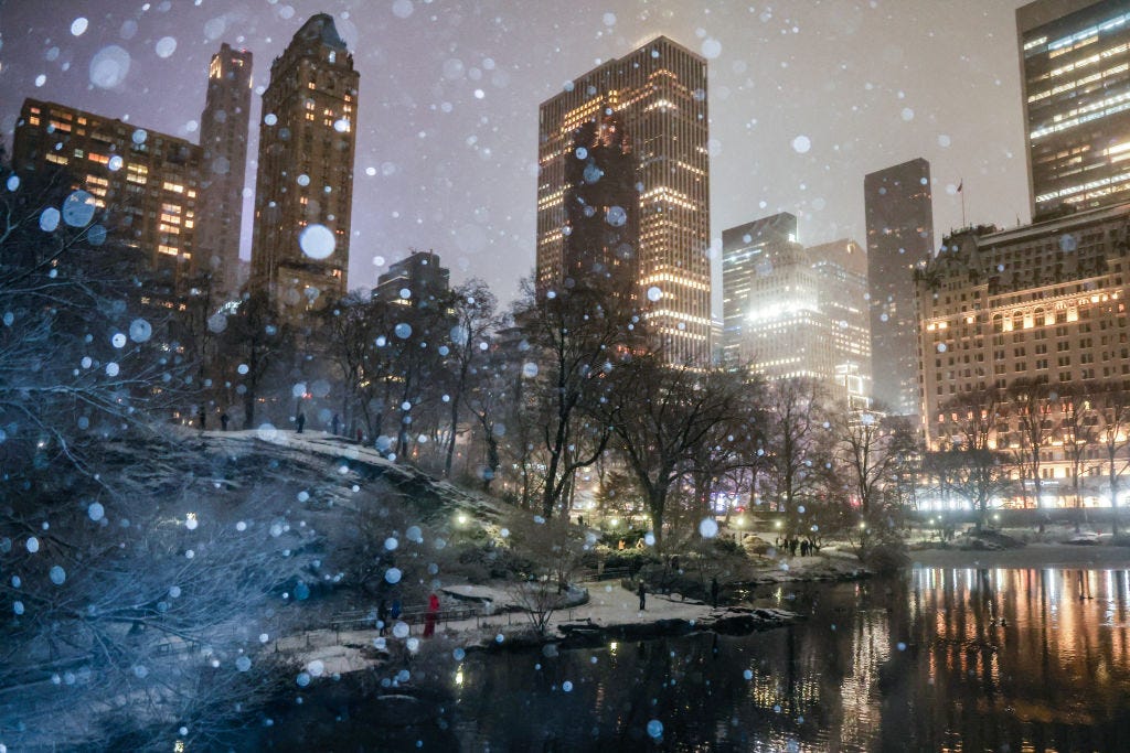 A view of Central Park as snow falls on Jan.19, 2025 in New York City.
