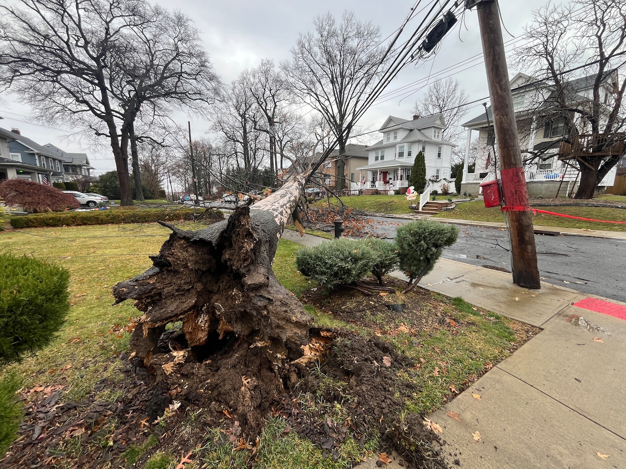 Wires down in West Brighton